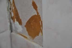 Asbestos Wall in bathroom